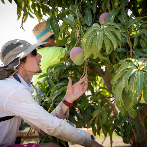 Seasonal workers enjoying Bowen